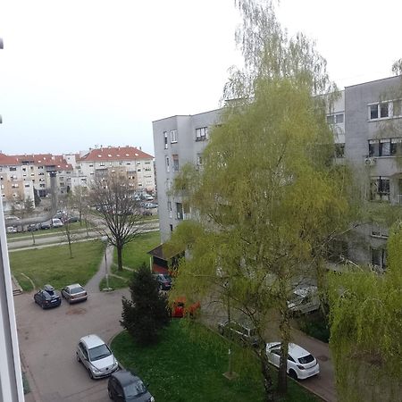 דירות ווליקה גוריצה Apartman Ciblja מראה חיצוני תמונה